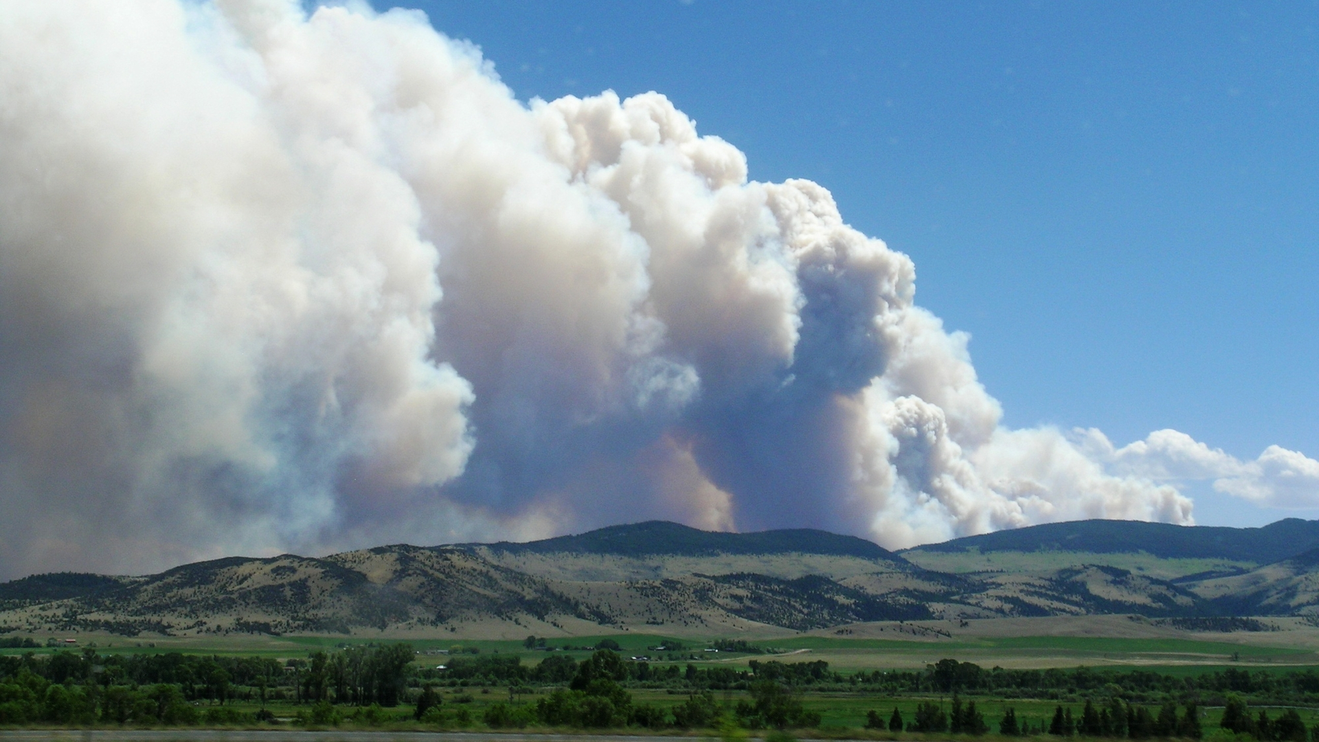 Dreamstime M 44919334 65086caddc942