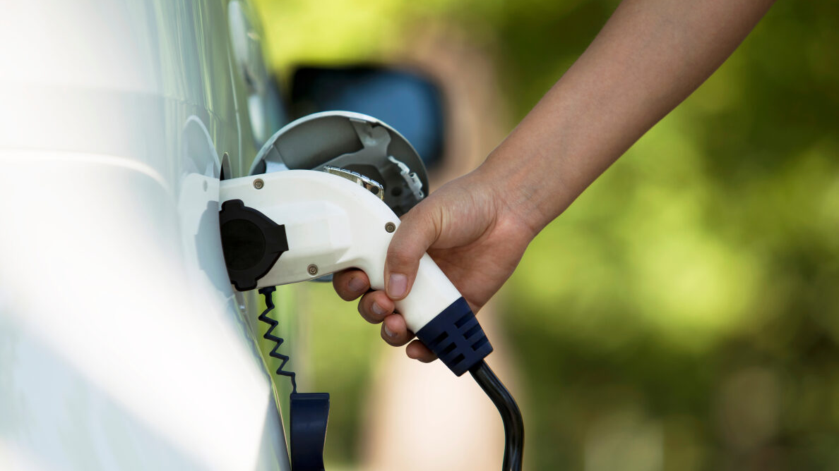 Easset Upload File54501 264644 E 6501cce1a795f