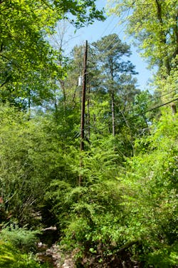 The existing overhead distribution line was constructed in the 1960’s during the early stages of the Green Valley Residential development. The existing overhead distribution line was constructed in the 1960’s during the early stages of the Green Valley Residential development.