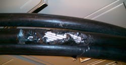 Article 2 Pic Article 2 Pic