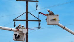 Pnm Tnm Workers 1 653ffff8d7a80 Pnm Tnm Workers 1 653ffff8d7a80