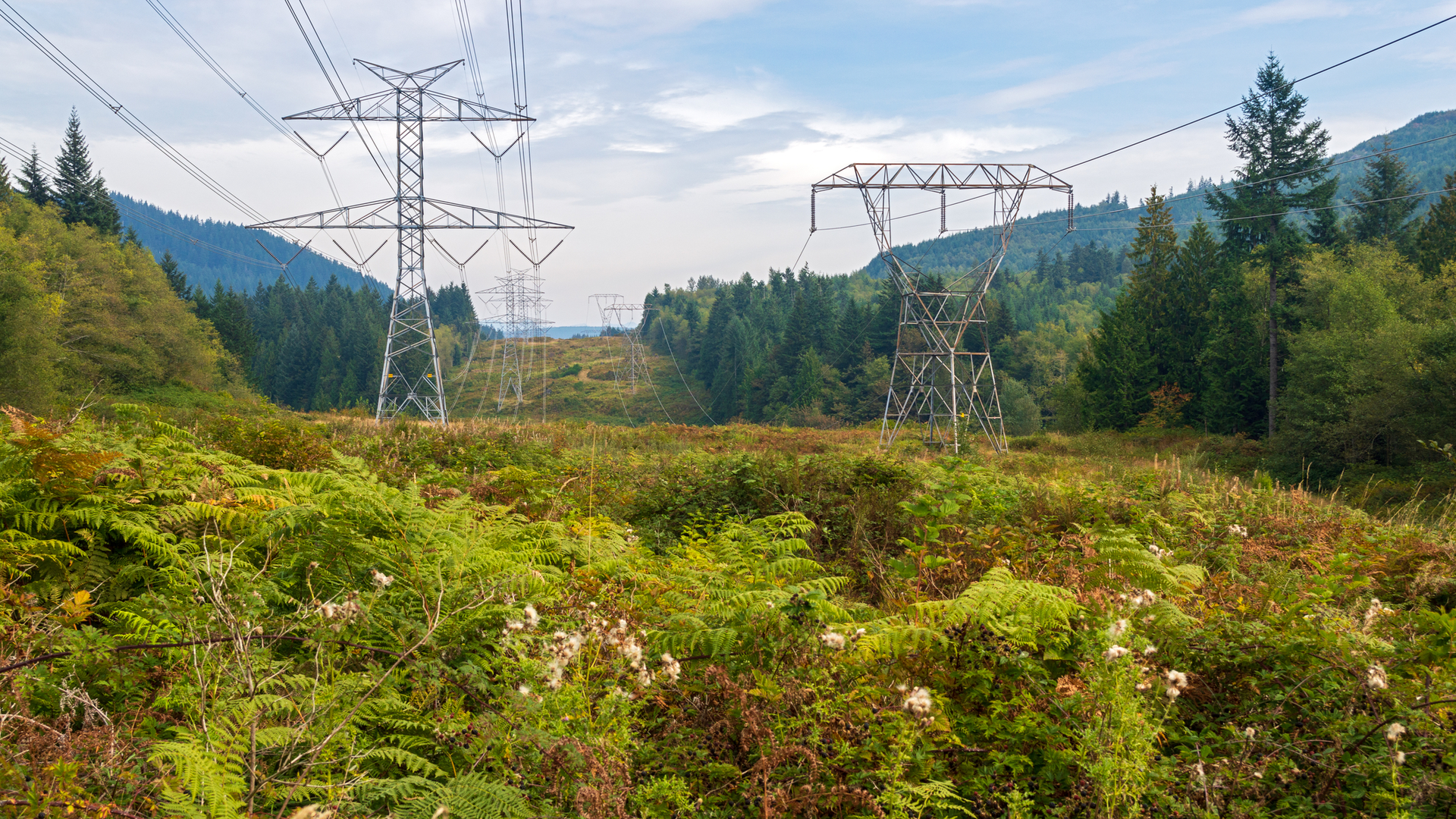 Dreamstime M 186057642 6536d93247c5b