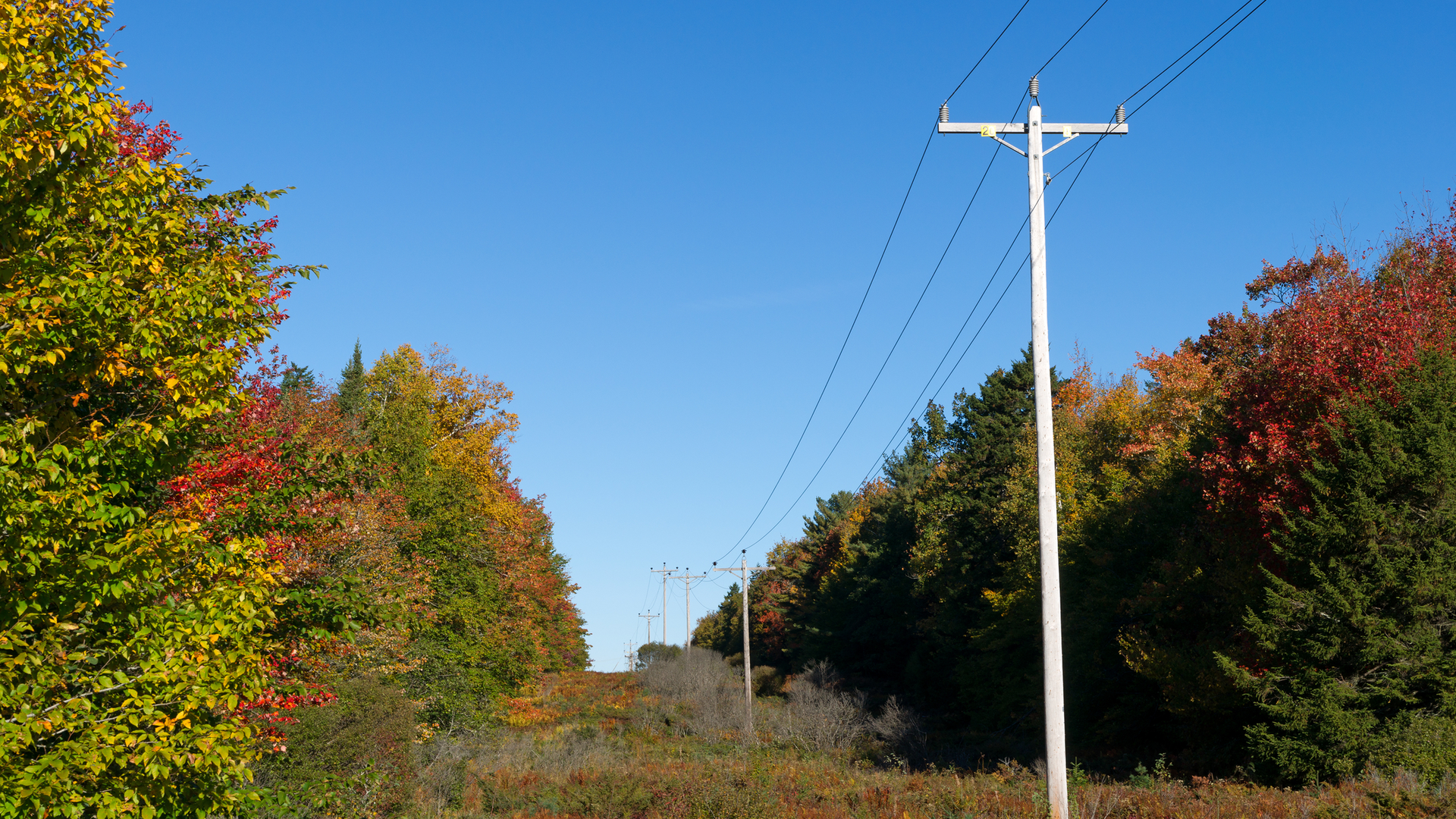 Dreamstime M 62226490