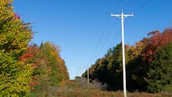 Dreamstime M 62226490 653691da6ca49 Dreamstime M 62226490 653691da6ca49