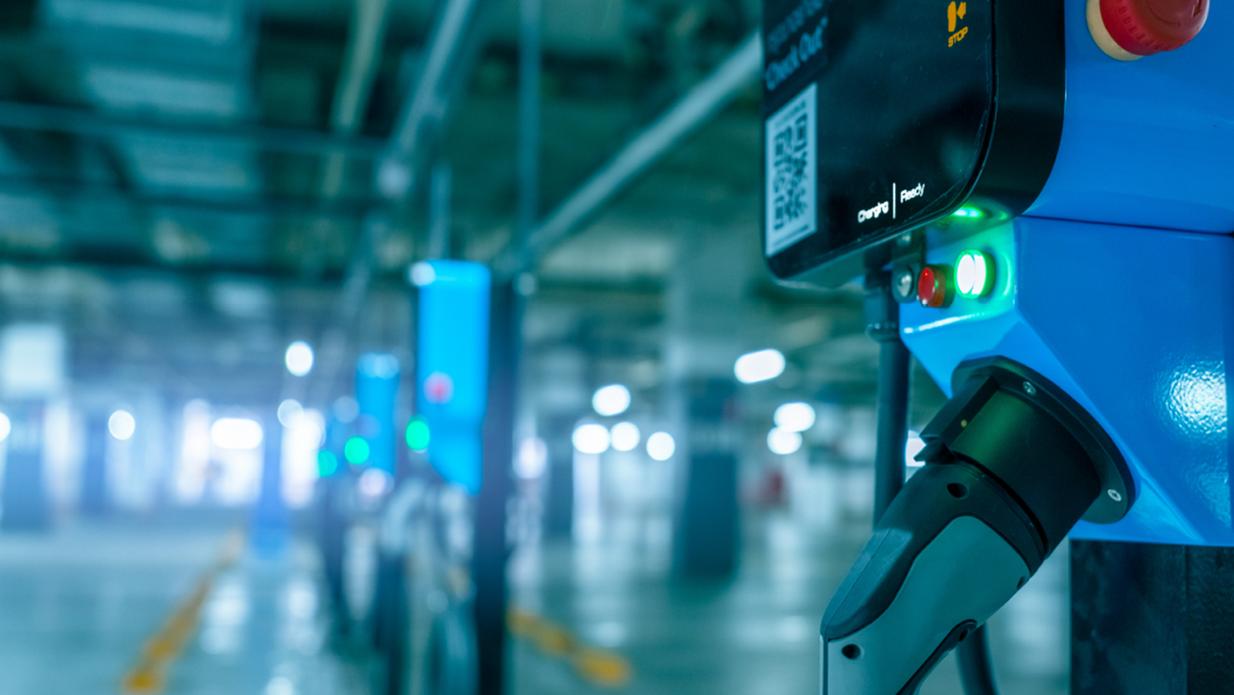 Esfi 1 651b425818be5