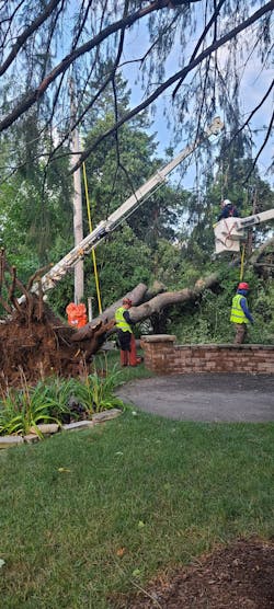 Crews working for ComEd clear away a damaged distribution pole so it can be replaced. Crews working for ComEd clear away a damaged distribution pole so it can be replaced.