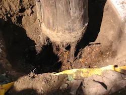 Pole Rot Poles Apart: The Surprising Truth About Power Pole Evaluation Methods ...
