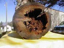 Shows the decay pattern of a thin sapwood pole because these poles decay from the inside-out. Shows the decay pattern of a thin sapwood pole because these poles decay from the inside-out.