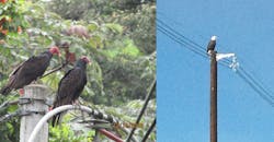 Marmon Article Inset Oct 1 Marmon Article Inset Oct 1