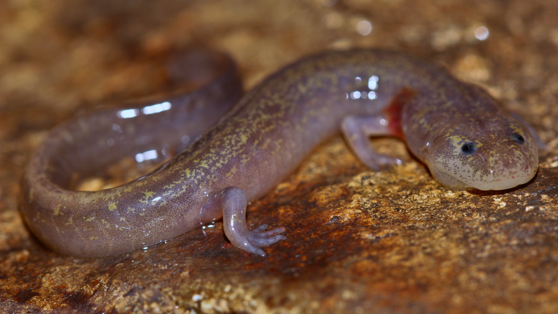 51379610264 B98f0284dd K