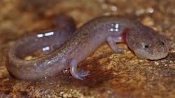 51379610264 B98f0284dd K 65490f0806099 51379610264 B98f0284dd K 65490f0806099