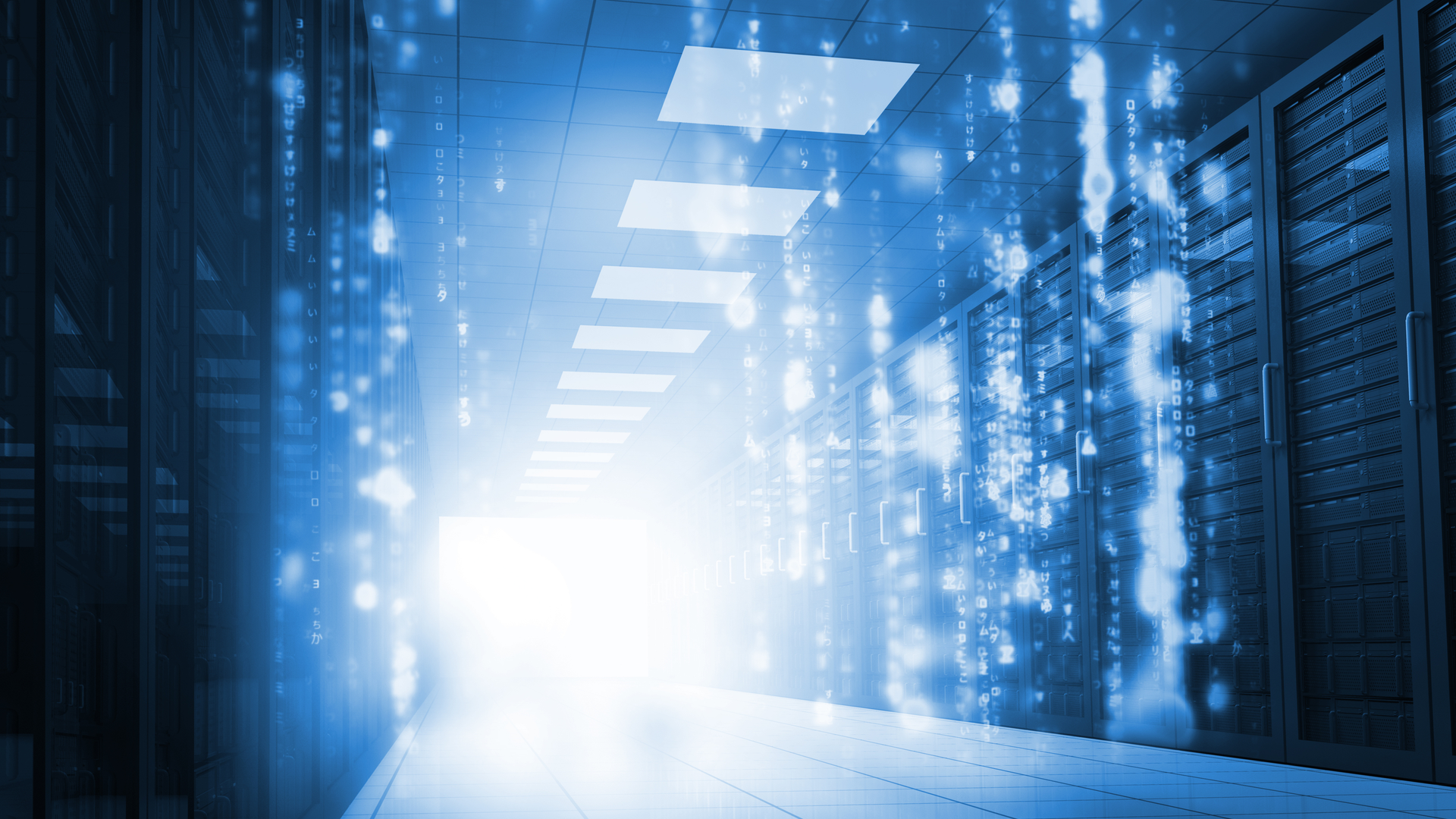 Dreamstime L 31099398 6549136db19f2