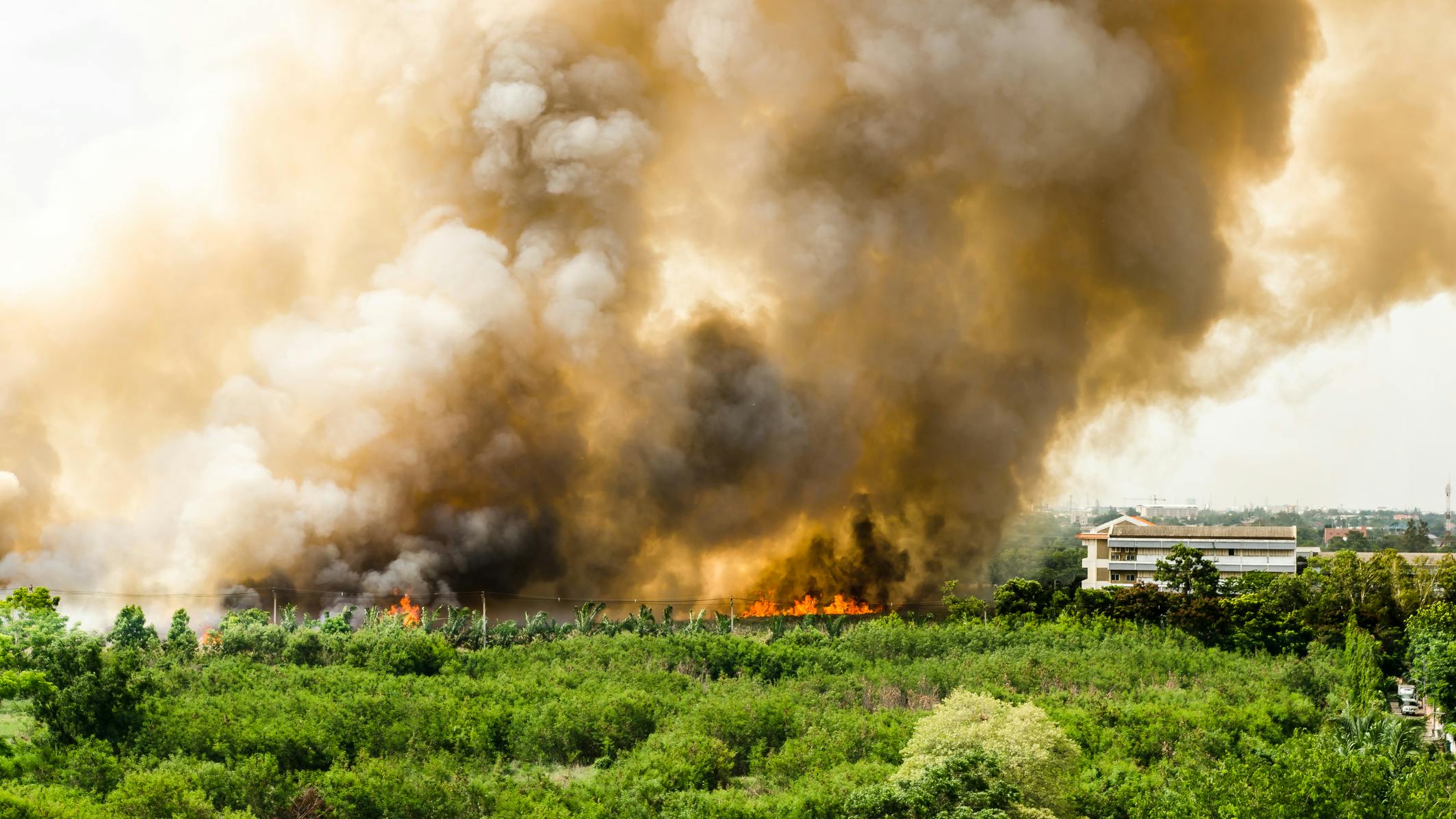 6552da02377fd5001eb041fe Dreamstime M 40965536