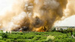 6552da02377fd5001eb041fe Dreamstime M 40965536 6552da02377fd5001eb041fe Dreamstime M 40965536