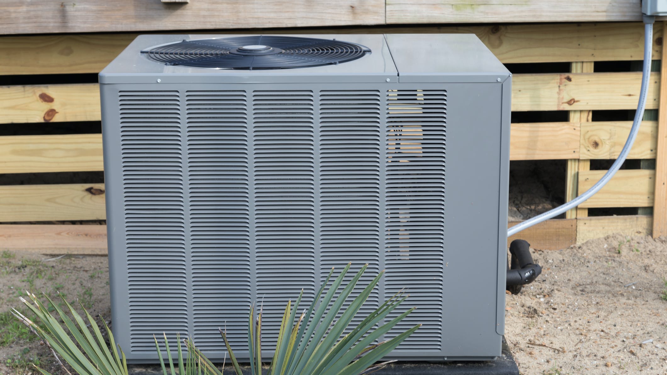 6565010918c910001e4ffd96 Dreamstime M 40735029