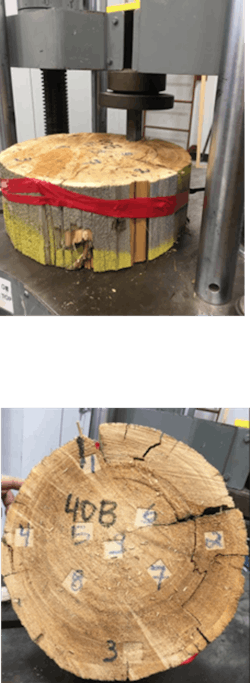 Pole break and material density study by Mississippi State University. Pole break and material density study by Mississippi State University.