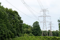 AES uses AI/ML advancements to analyze massive amounts of data and more accurately predict transmission line capacity and tree trimming needs, enabling the company to make fuller use of grid assets and perform preventative maintenance