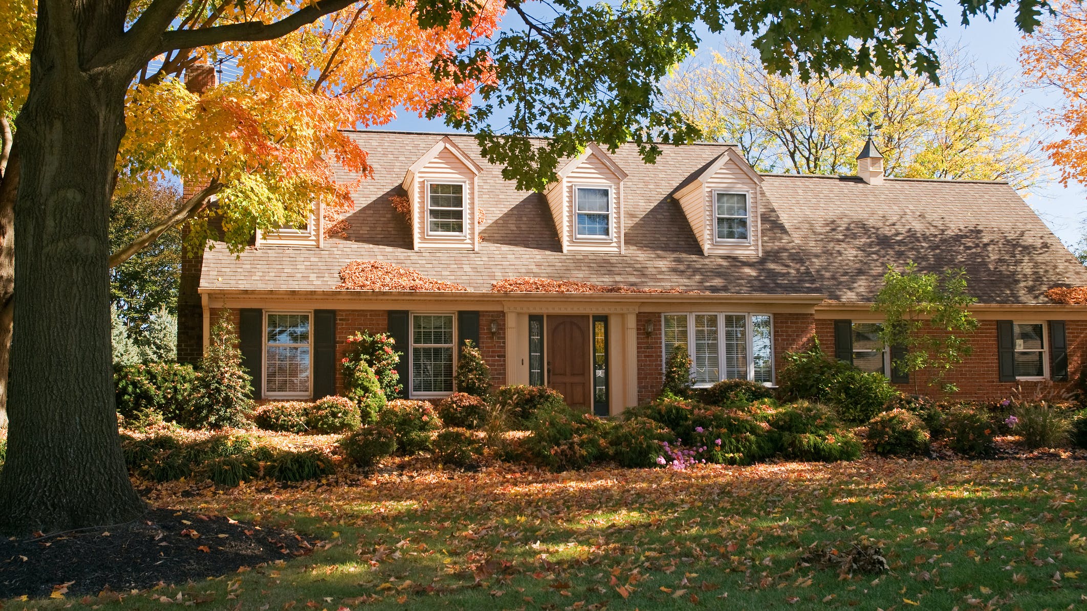 6571dc67eb4ef2001e2ad963 Dreamstime M 6794505