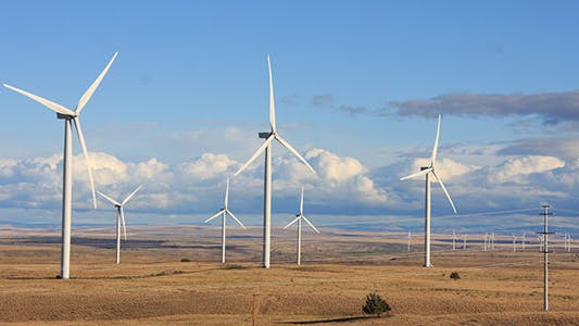 6578b7d436a081001e6199d4 Factsnew