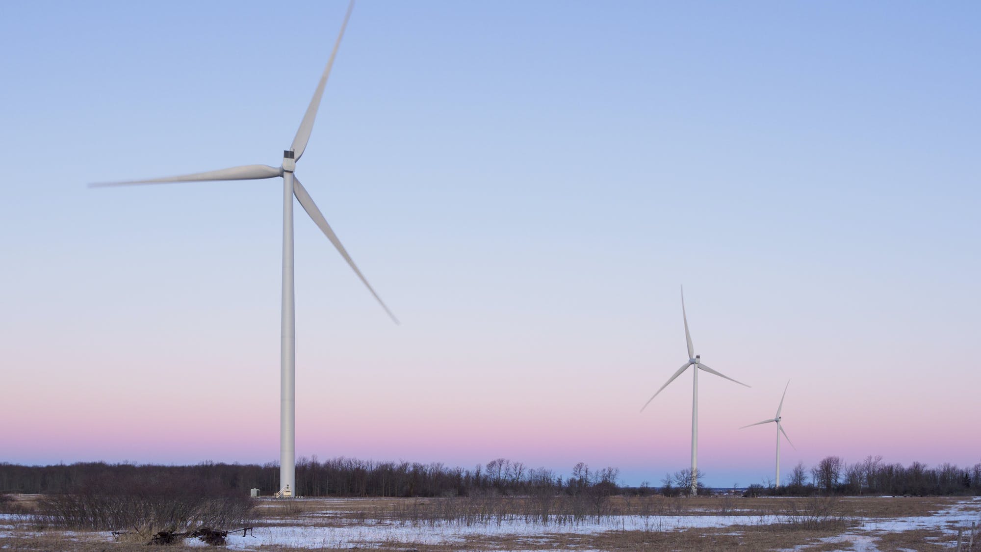 6580bcc8935ea3001ec8b5f0 Dreamstime M 139335939