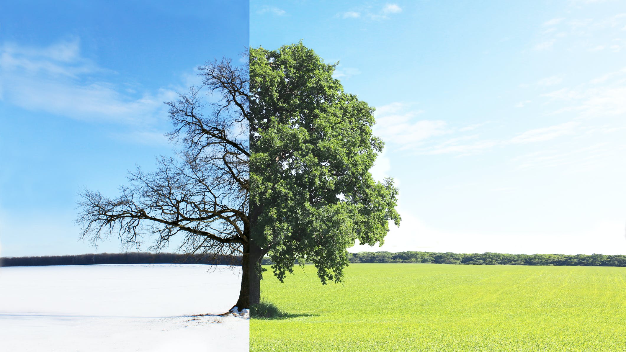 65821651162a90001eaee69a Dreamstime M 134036508