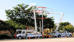 65821c4afdf988001e288db6 Dreamstime M 81919919 65821c4afdf988001e288db6 Dreamstime M 81919919