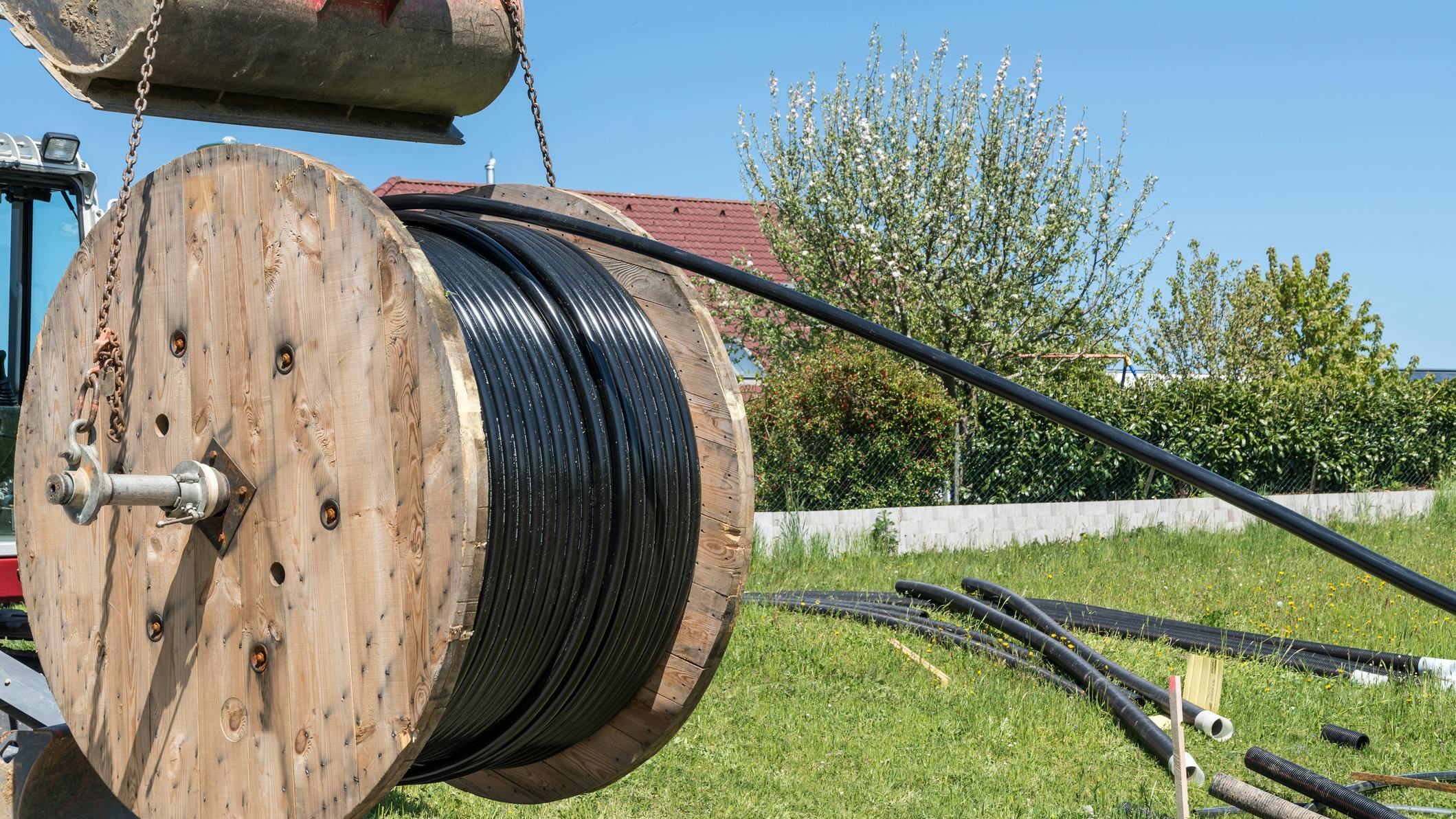 65a9563f8a3ea7001e4804cd Dreamstime M 187796164