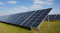 65a95f81746203001eae2a2b Dreamstime M 91286952 65a95f81746203001eae2a2b Dreamstime M 91286952