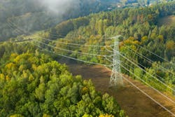 65aed8c2e86c56001e2faff1 Dreamstime L 206385967 1 65aed8c2e86c56001e2faff1 Dreamstime L 206385967 1