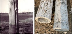 Left – Aging wood pole. Right – Fiberglass pole after prolonged UV exposure. Left – Aging wood pole. Right – Fiberglass pole after prolonged UV exposure.