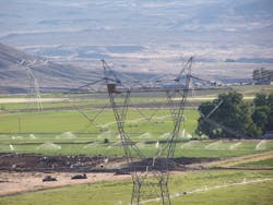 Wildlife mitigation that considers bird species ultimately benefits the birds, power utilities, their customers and the ecosystem. Wildlife mitigation that considers bird species ultimately benefits the birds, power utilities, their customers and the ecosystem.