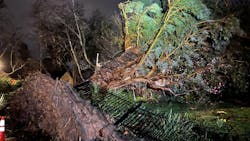 65c14c7b598dc8001e4f603f Gfk Frzxqaakuoq 65c14c7b598dc8001e4f603f Gfk Frzxqaakuoq