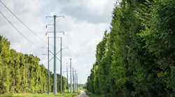duk_wires_1