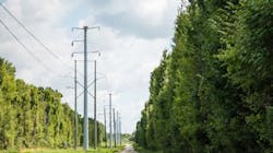 65c53c5c2d5c13001e415b00 Duk Wires 1 65c53c5c2d5c13001e415b00 Duk Wires 1