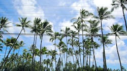 65c654cbf2706d001eaa0216 Gettyimages1191328486 1 65c654cbf2706d001eaa0216 Gettyimages1191328486 1