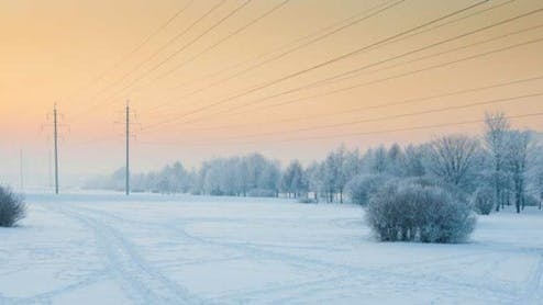 65d4b520a1028f001e78e239 Meyers 1