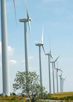 Wind generation is a growing part of Anadarko, Oklahoma-based Western Farmers Electric Cooperative power supply mix. Wind generation is a growing part of Anadarko, Oklahoma-based Western Farmers Electric Cooperative power supply mix.