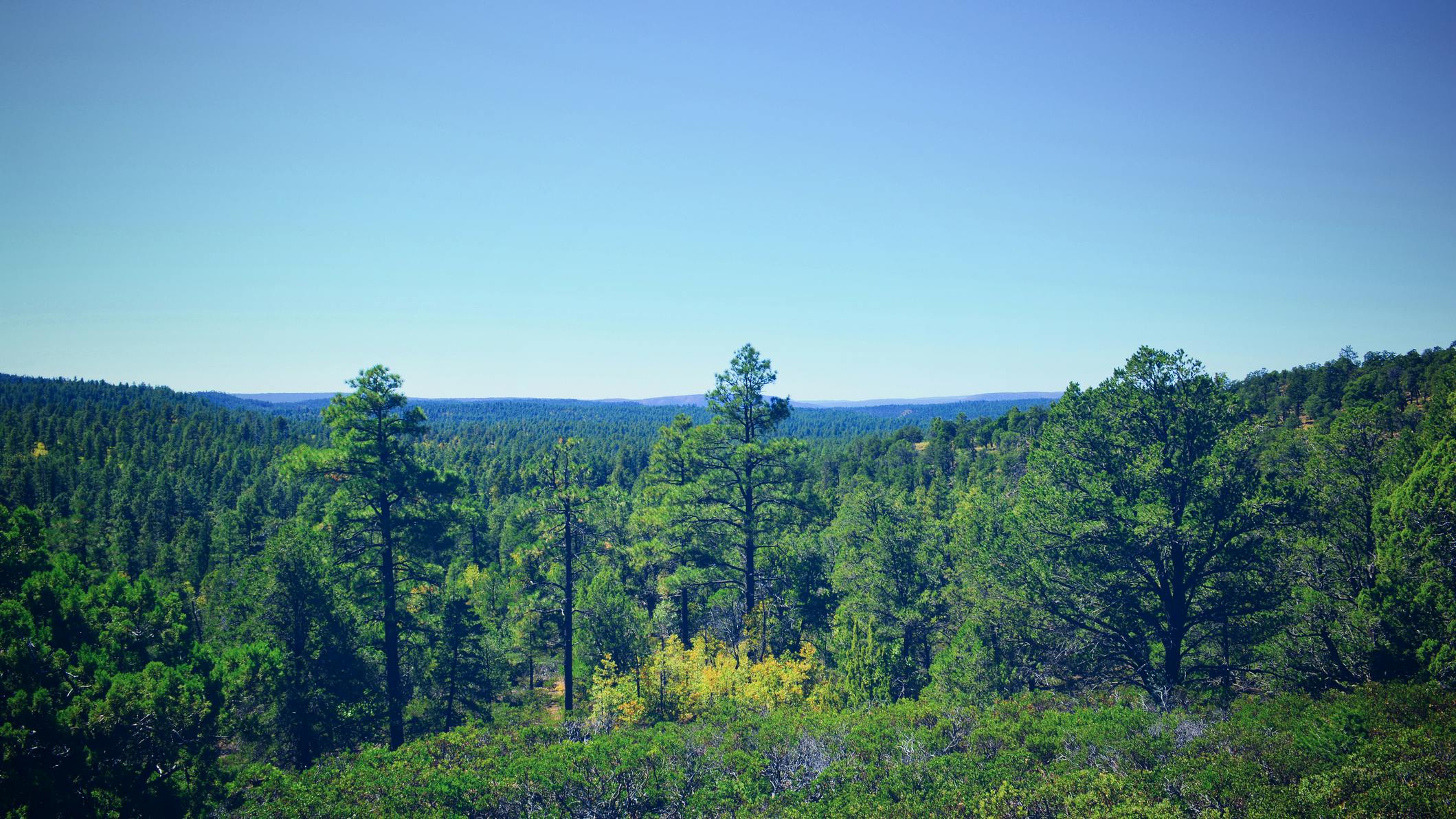 65d7a8ede75db1001eb3f04e Dreamstime M 110077603