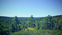 65d7a8ede75db1001eb3f04e Dreamstime M 110077603 65d7a8ede75db1001eb3f04e Dreamstime M 110077603