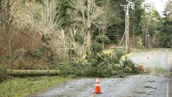 65d7ac46e75db1001eb3f365 Dreamstime M 124577730 65d7ac46e75db1001eb3f365 Dreamstime M 124577730