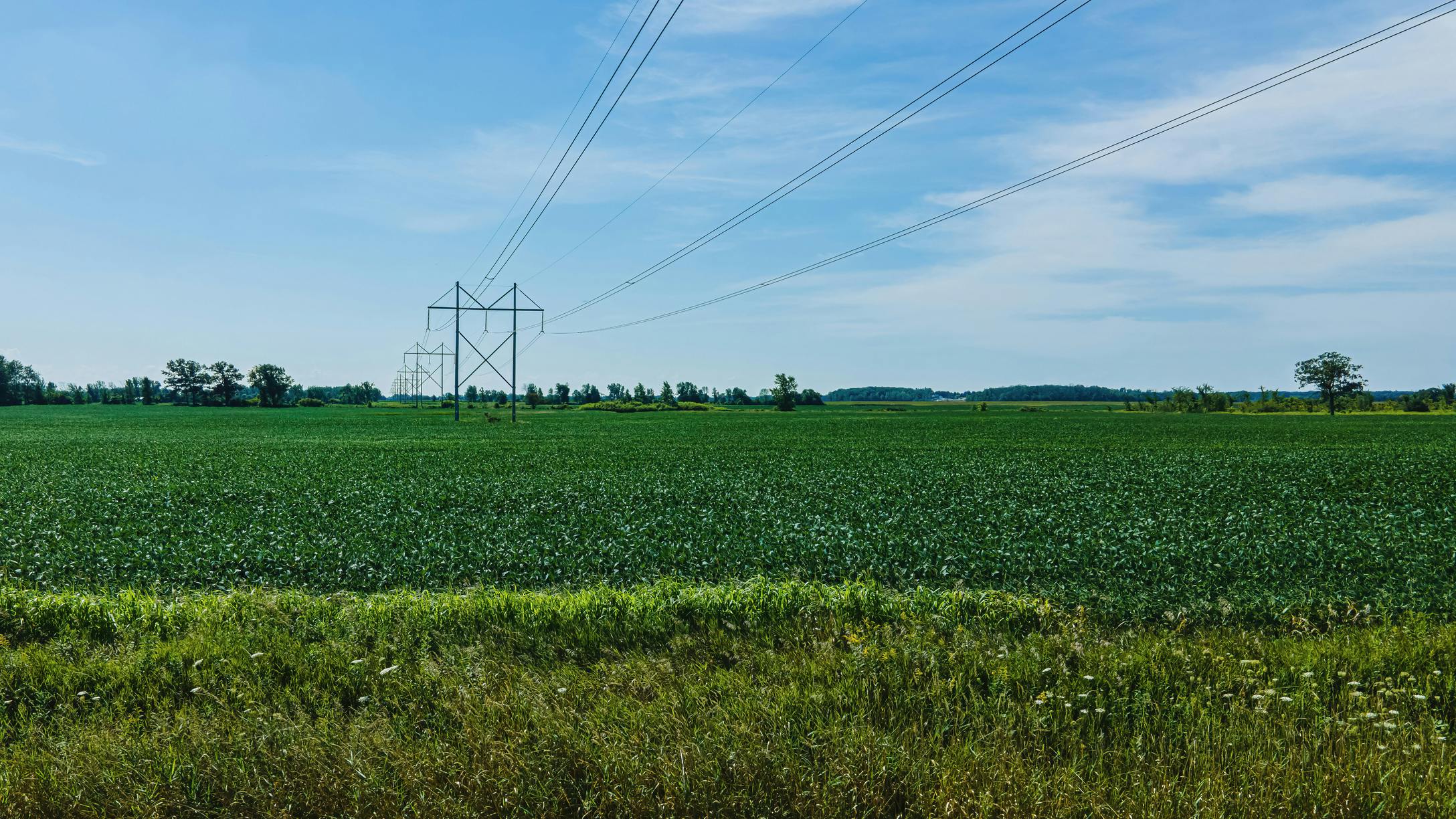 65e8ddbab89615001e9a992a Gettyimages1440852786