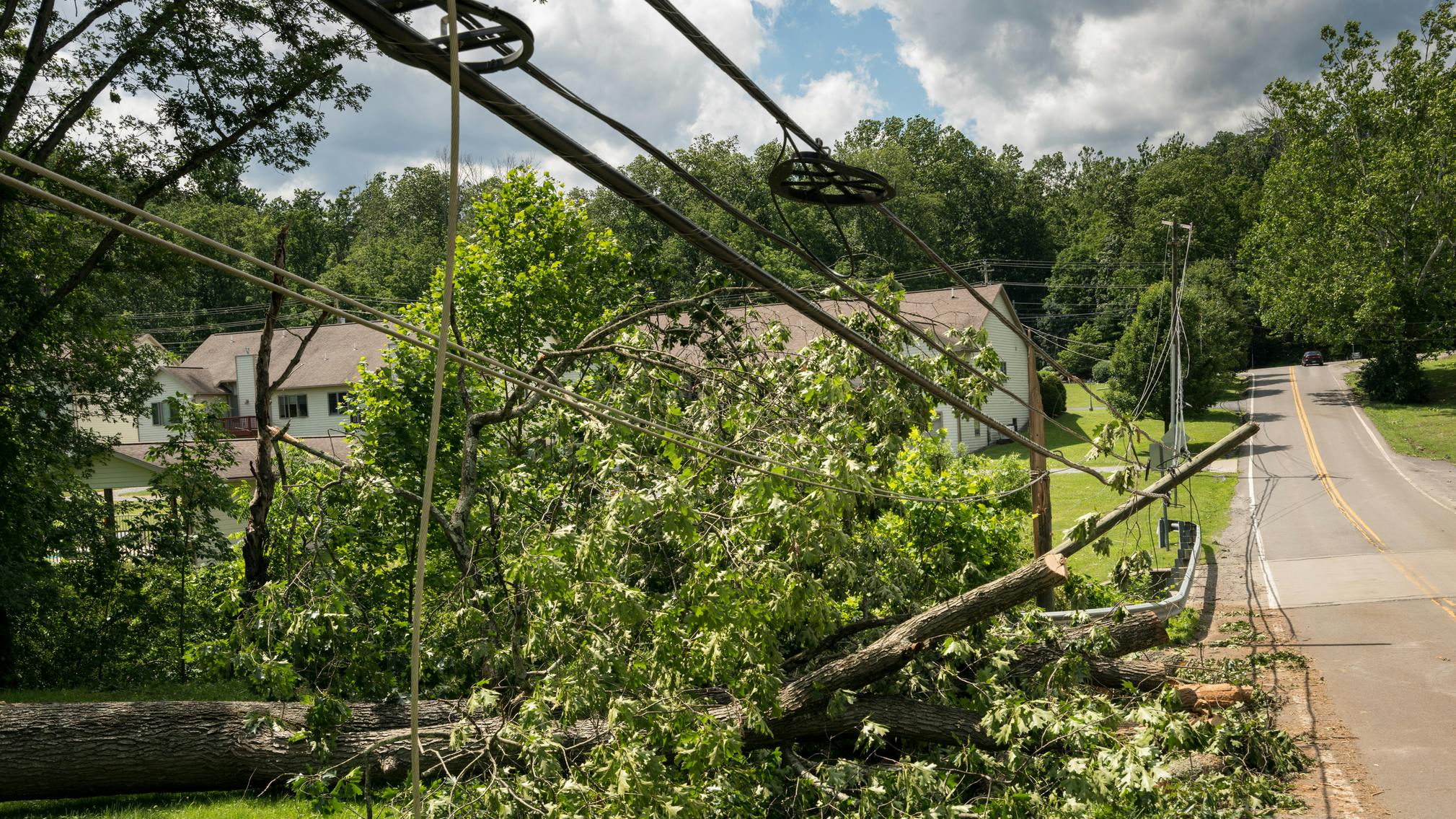 65f05b6b73aec6001ffa89e2 Dreamstime M 94987741 1