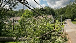 65f05b6b73aec6001ffa89e2 Dreamstime M 94987741 1 65f05b6b73aec6001ffa89e2 Dreamstime M 94987741 1