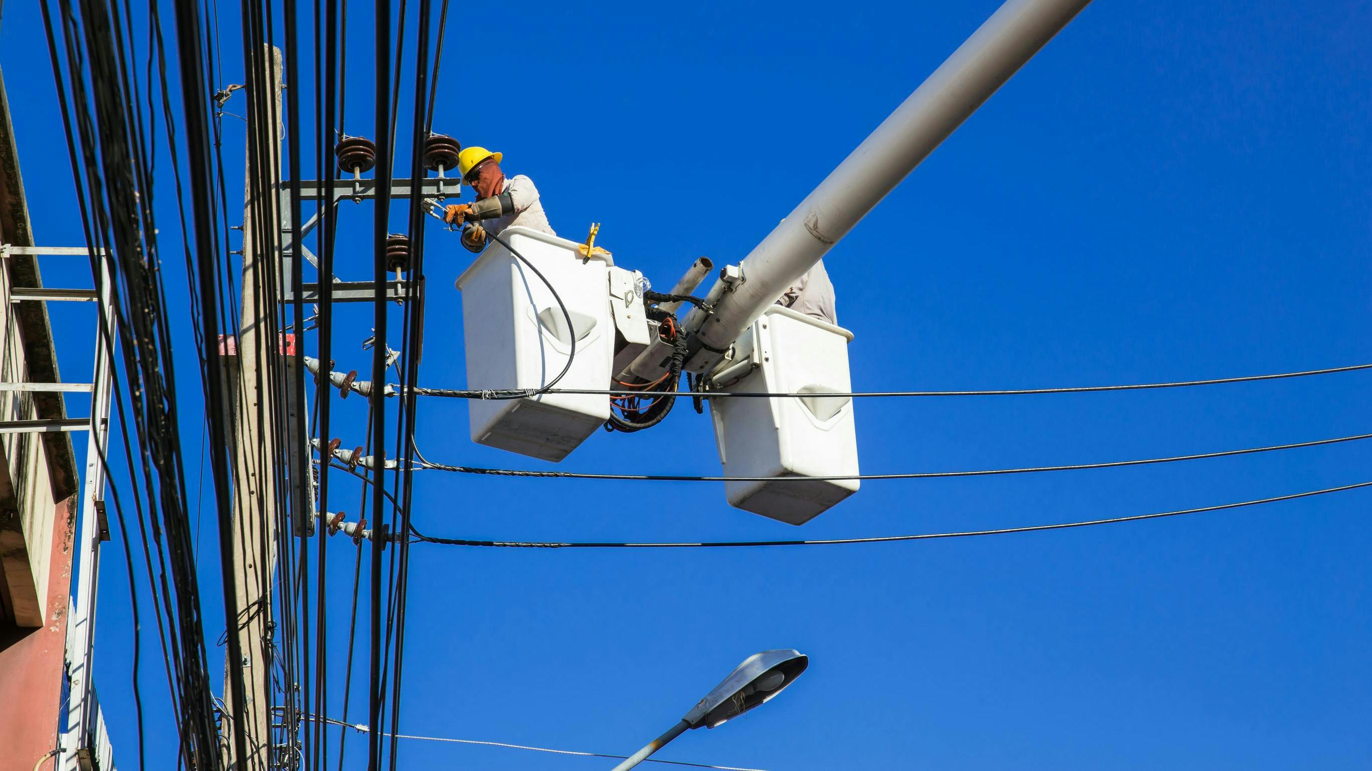 65f096d6c5d7fe001ef0f249 Dreamstime L 126006684