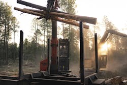 Work performed as part of a thinning project. Work performed as part of a thinning project.