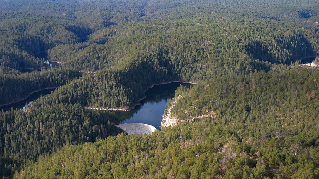 Overgrown forest surrounding C.C. Cragin Reservoir.