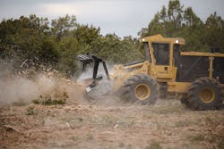Woodland vegetation thinning operations. Woodland vegetation thinning operations.