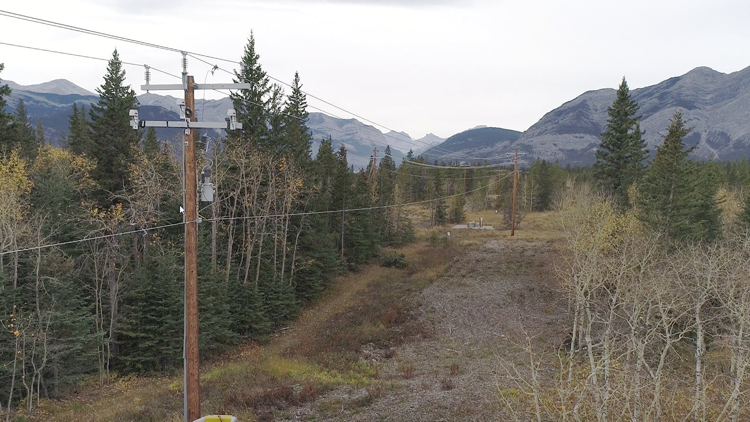 Early fault detection keeps a watch over rights of way.