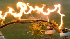 Tree branch spanning two phases of power line can become ignited and fall to ground, igniting dry brush or grass on ground.