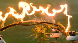 Tree branch spanning two phases of power line can become ignited and fall to ground, igniting dry brush or grass on ground.